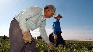 PRODUCTORES AGROPECUARIOS DE LA COSTA PASAN LOS 54 AÑOS 