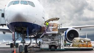 Productos agrícolas representan el 79.9% del volumen total exportado por vía aérea