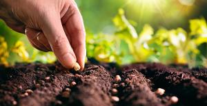 Protec realizó webinar "Escuelas de Campo – Semillas base de la agricultura”