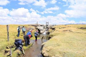 Proyecto Pichis Palcazú realiza mantenimiento de 22.240 metros de canales y drenes
