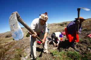 PUBLICAN LEY DE PROMOCIÓN Y DESARROLLO DE LA AGRICULTURA FAMILIAR