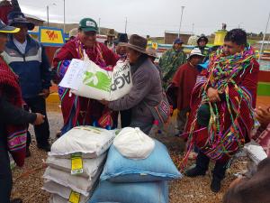 Puno: entregan semillas de alfalfa y cebada a pobladores de Tiqui Tiqui