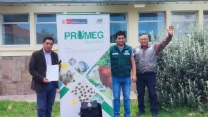 Puno: INIA transfieren pajillas para mejorar calidad ganadera de Huancané