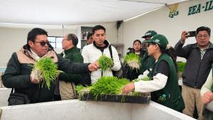 Puno: Tecnologías para mitigar efectos del El Niño en la producción agropecuaria de Puno