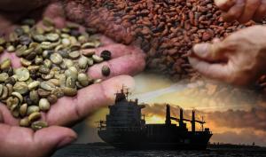 Qué esperar en 2025 para los mercados internacionales del café y el cacao