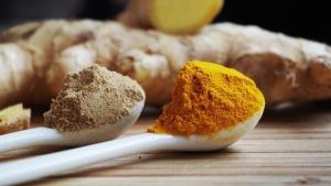 Quinta edición del Ginger Week logró expectativa de negocios por US$ 2.156.000