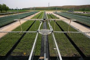 REALIZARÁN SEMINARIO SOBRE MANEJO DE AGUA 