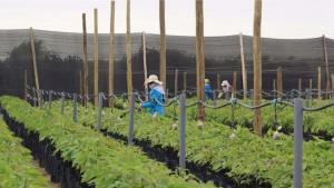 Reducir la burocracia, eliminar gastos duplicados y frenar la ineficiencia institucional debe ser una prioridad