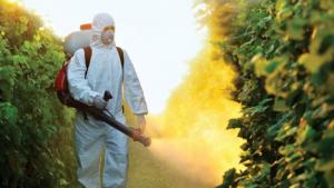 Refuerzan control tras detectar plaguicidas no autorizados