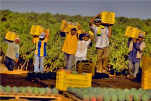 REGIONES COSTERAS AÚN NO INFORMAN ORDENAMIENTOS TERRITORIALES