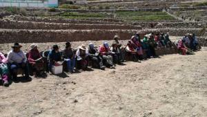 Rehabilitan 271 hectáreas de andenes en Tacna