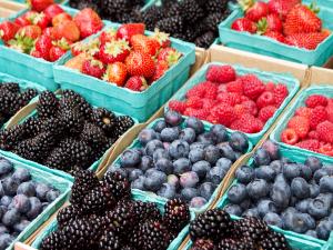 Reino Unido y Alemania marcan la pauta de crecimiento  en consumo de berries en Europa