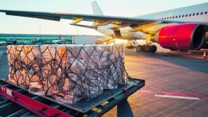 Restricción de vuelos cargueros en el aeropuerto Jorge Chávez puede afectar envíos de espárragos y mangos