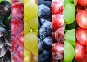 Resumen del mercado global de la uva