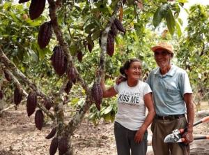 San Martín: más de 129.000 familias se benefician con proyectos productivos agrícolas