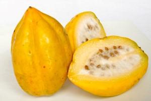 Se realizará curso del agronegocio de la Papaya Andina y Precoz
