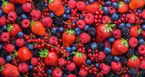 Se viene el XV Congreso Internacional de Berries de México, la principal feria de negocios especializada en el sector de berries a nivel global