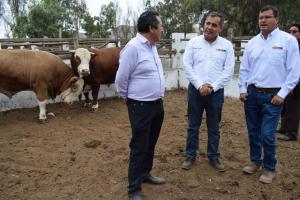 Sector pecuario nacional crecería 4% al cierre del año