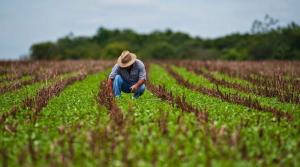Sembrar con información, cosechar con predictibilidad