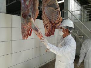 Senasa promueve implementación de mataderos municipales en Arequipa