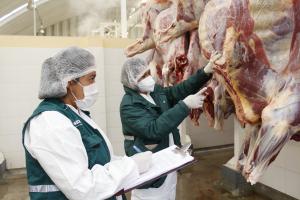 Senasa recomienda se adopten procedimientos que garanticen la inocuidad de la carne en matadero de Chota