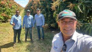 “Sería muy importante un sello de calidad para la industria del mango de Brasil”