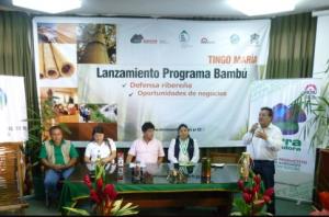 SIERRA EXPORTADORA LANZA “PROGRAMA BAMBÚ” EN HUÁNUCO