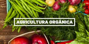 Superficie mundial de agricultura ecológica creció un 20% en 2017