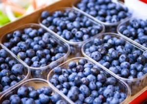 TALSA: PRODUCCIÓN Y EXPORTACIÓN DE ARÁNDANOS CRECERÍAN MÁS DE 70% ESTE AÑO