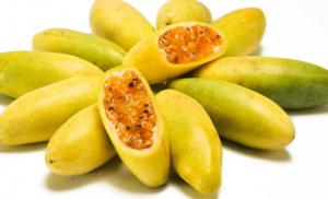 “Tumbo”, the other passion fruit Peru is not taking advantage of