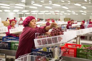 Un repaso a la Ley de Promoción Agraria en cifras