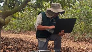 UNALM: drones e inteligencia artificial para optimizar riego y fertilización en cultivos de palto