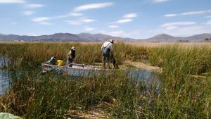 UNMSM presenta herramienta para conservar la biodiversidad del lago Titicaca y la laguna de Yarinacocha