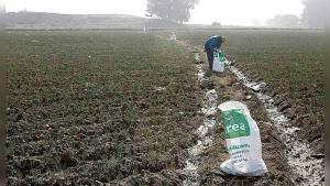 Urea se desploma hasta US$300 por tonelada tras récord histórico de abril