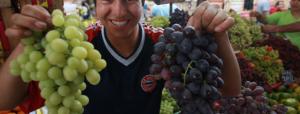 Uvas lideraron las exportaciones del subsector frutas frescas en el primer trimestre del año