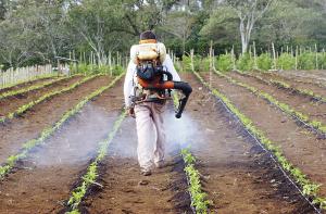 Ventas de productos agroquímicos en Perú crecerían 5% este año