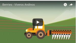 Viveros Andinos brinda a productores todos los servicios para iniciar proyecto de frambuesas