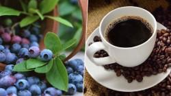 A octubre, agroexportaciones representan el 15.56% del total de las exportaciones