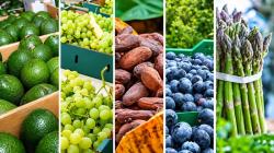 Agroexportaciones peruanas llegaron a 14 destinos a agosto de 2026