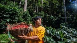 Amazonía peruana ha sido determinante para lograr récord de agroexportaciones en 2025