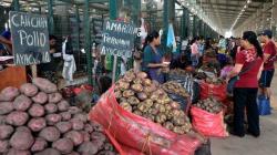 Ayer ingresaron 7.892 toneladas de frutas y verduras a mercados mayoristas de Lima
