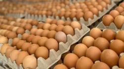 Baja en el precio de los huevos se sentirá en 3 meses