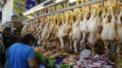 BCR: Precio del pollo se elevó debido a la gripe aviar, pero se normalizará en los siguientes meses