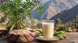 Bebidas vegetales: “la agroindustria peruana debe innovar en proteínas e ingredientes”
