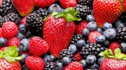 Berries ocuparon el primer lugar en ventas de orgánicos en Estados Unidos en 2023