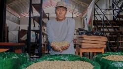 Cafetaleros del VRAEM participarán en la Taza de Excelencia 2025