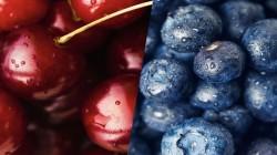Chile exportó 1.016.891 toneladas de fruta fresca en el primer trimestre de 2024, representando un aumento de 13%