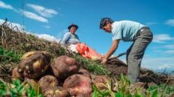 Comex Perú: Conozca la agenda pendiente del sector agropecuario