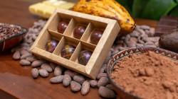 Concentración o diversificación: el dilema de los derivados de cacao en Sudamérica