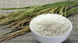 Consumo per cápita de arroz en Perú alcanza un volumen aproximado de 61 kilos